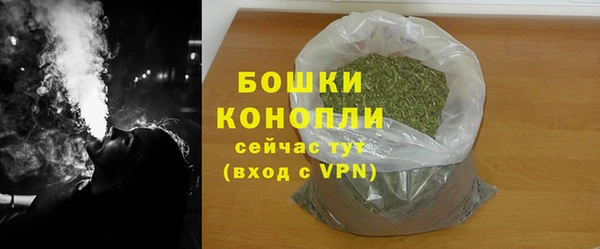 дживик Кинешма