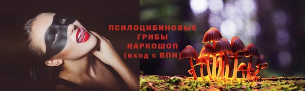 ALPHA PVP Киреевск