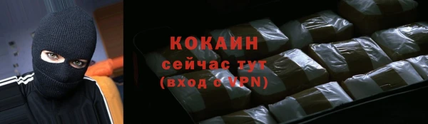 дживик Кинешма