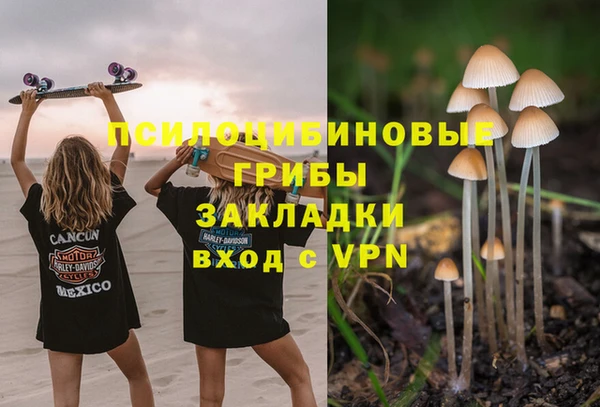 дживик Кинешма