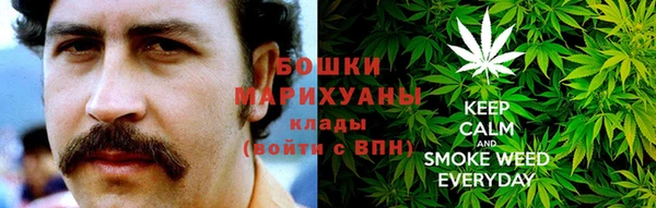 дживик Кинешма