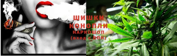 дживик Кинешма