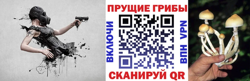 Галлюциногенные грибы MAGIC MUSHROOMS  Купить где  Верхний Тагил 